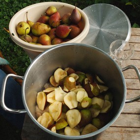 Obst „schnibbeln“ – für leckeren Apfelkuchen?