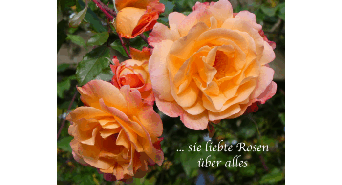 ... sie liebte Rosen